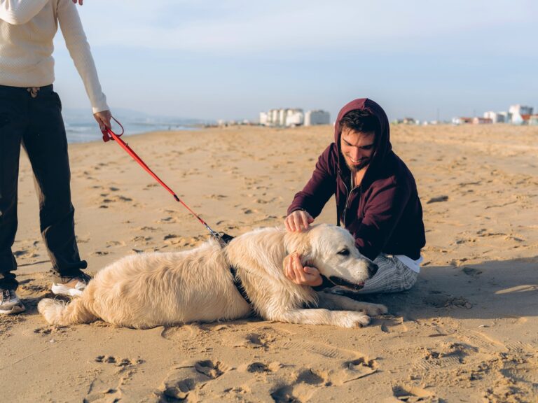 a man with a dog on a beach